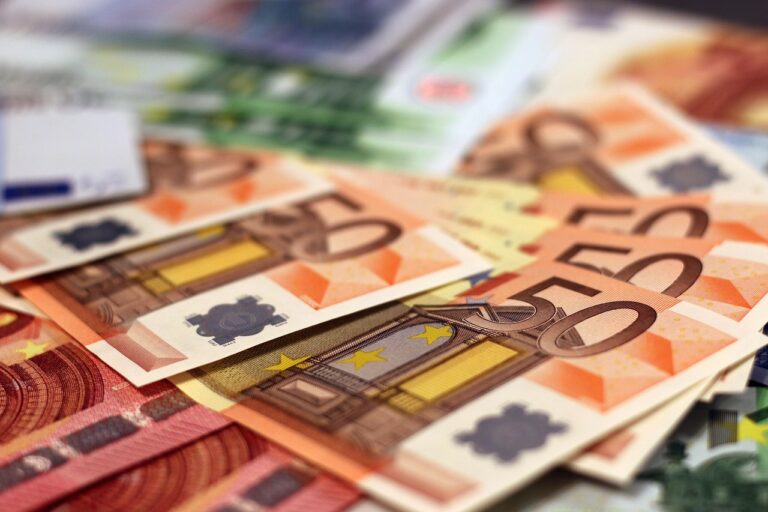 idei de afaceri cu 50000 euro